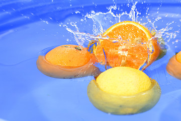 Image showing Oranges and lemons