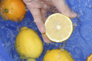 Image showing Oranges and lemons