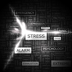 Image showing STRESS