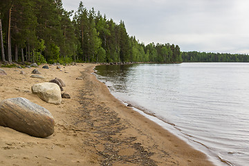 Image showing Wild nothern forest lake beach