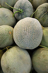 Image showing Rock melon sale in market