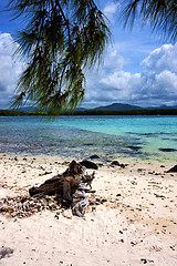 Image showing indian ocean   in mauritius