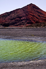 Image showing plant stone    ocean sky  water   spain musk pond rock  coastlin