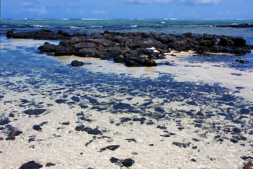 Image showing boat foam footstep   of deus cocos   mauritius