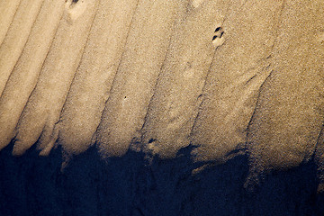 Image showing in lanzarote  spain texture abstract of the beach 