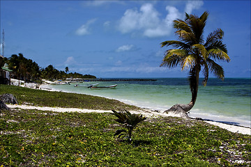 Image showing in mexico  in the  blue lagoon relax    sian kaan 