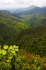 Image showing black river mountain  in mauritius 
