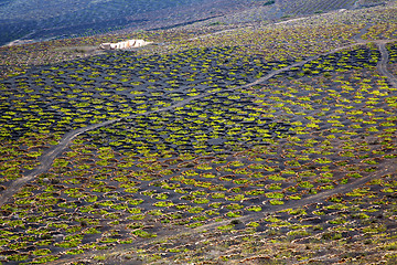 Image showing abstract winery lanzarote spain la geria 