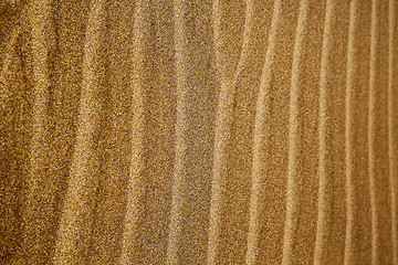 Image showing in lanzarote  spain   of a  dry sand and the beach 