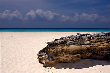 Image showing light beach mexico  coastline rock     summer 