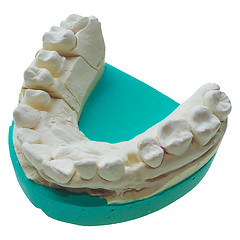 Image showing Positive teeth cast