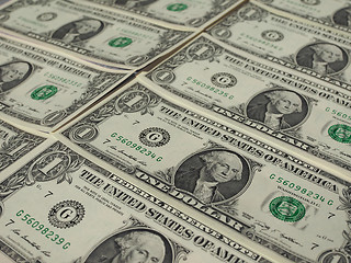 Image showing Dollar notes 1 Dollar