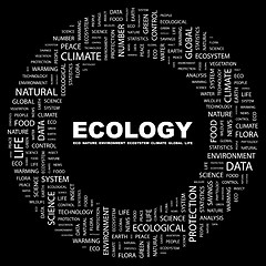 Image showing ECOLOGY.