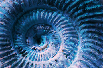 Image showing abstract blue spiral