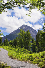 Image showing View to summit of Thaneller