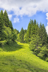 Image showing Landscape Allgaeu