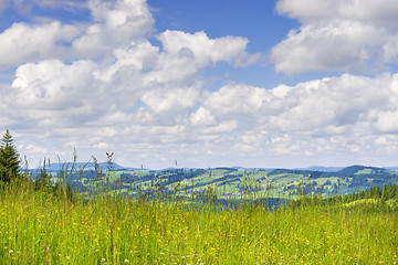 Image showing Meadow to Allgaeu