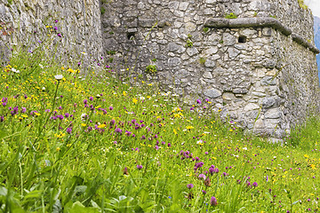 Image showing Meadow with castle