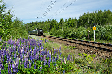 Image showing Train at railway with flowers besides the tracks