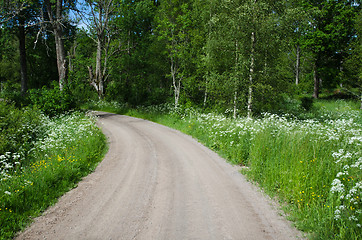 Image showing Country road in a summer landscape