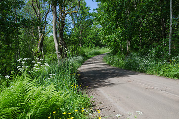 Image showing Dirt road at summer