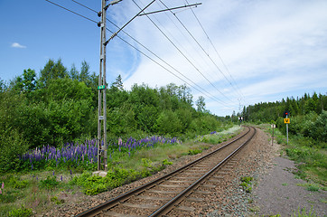 Image showing Railway in a summer landscape