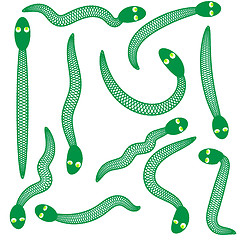 Image showing Green Snakes