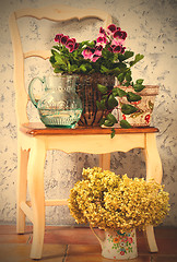 Image showing pelargonium, fuchsia and hydrangea