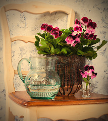 Image showing geranium and a jug of water