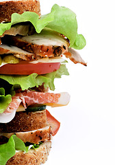 Image showing Turkey Meat Sandwich