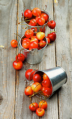 Image showing Sweet Maraschino Cherries