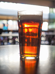 Image showing Pint of beer