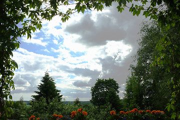 Image showing ivy and flowers form a rame