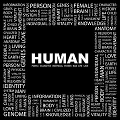 Image showing HUMAN.