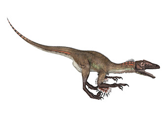 Image showing Dinosaur Utahraptor