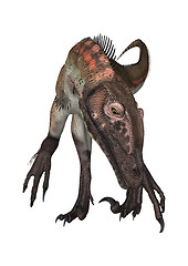 Image showing Dinosaur Utahraptor