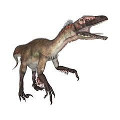 Image showing Dinosaur Utahraptor