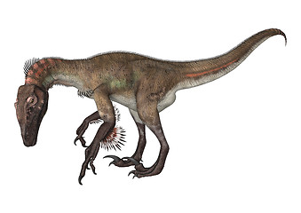 Image showing Dinosaur Utahraptor