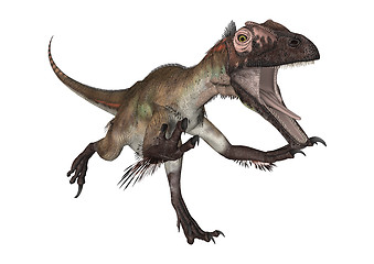 Image showing Dinosaur Utahraptor