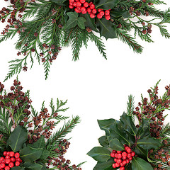 Image showing Winter Holly and Greenery Border