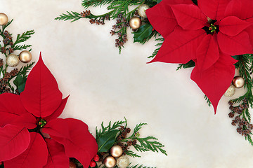 Image showing Poinsettia Flower Border