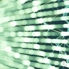 Image showing Abstract grid background. Vector illustration. 