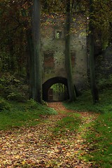 Image showing Castle Gryf