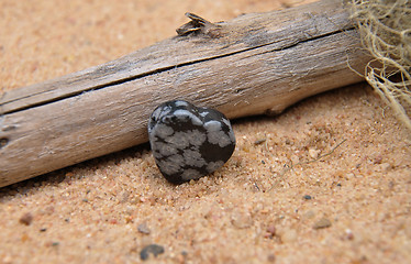 Image showing Snowflake obsidian on beach