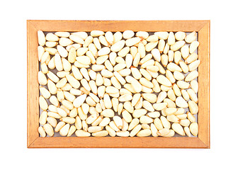 Image showing Pine nuts on white