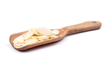 Image showing Almond slices on shovel