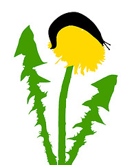 Image showing Slugs on dandelion