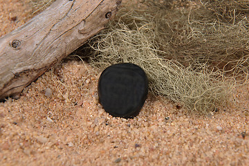 Image showing Obsidian on beach