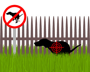 Image showing Aim at dog crapping