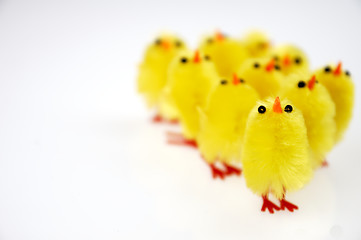 Image showing Little yellow chickens. Easter decorations.